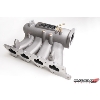 Skunk2 Pro Series Intake Manifold - EVO 8/9