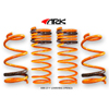 ARK Performance GT-F Lowering Springs - EVO X