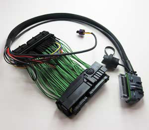 Boomslang AEM EMS-4 Harness - EVO 8