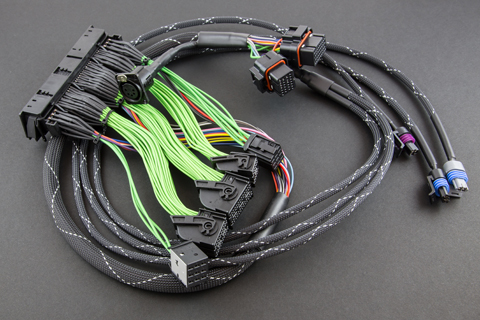 Boomslang MoTeC M400 EVO8-260 Harness