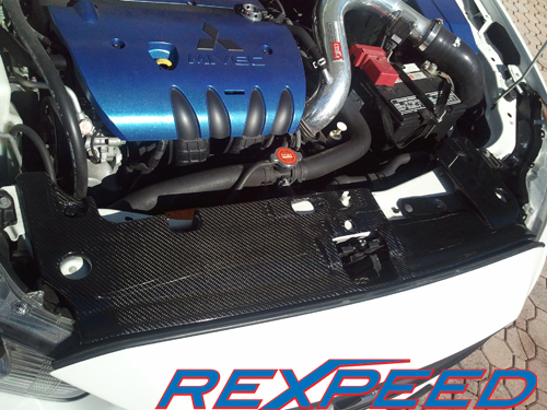 Rexpeed Carbon Fiber Radiator Cooling Plate - Lancer GTS, DE, ES 2008+